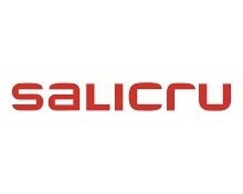 SALICRU-SPS SAFE MASTER PL