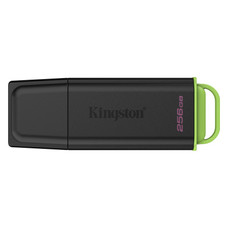 MEMORIA KINGSTON-JETFLASH DTXG2 256GB