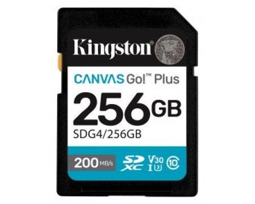 MEMORIA KINGSTON-SD SDG4 256GB